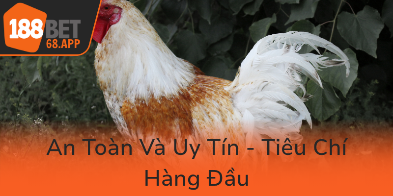 An Toan Va Uy Tin Tieu Chi Hang Dau0