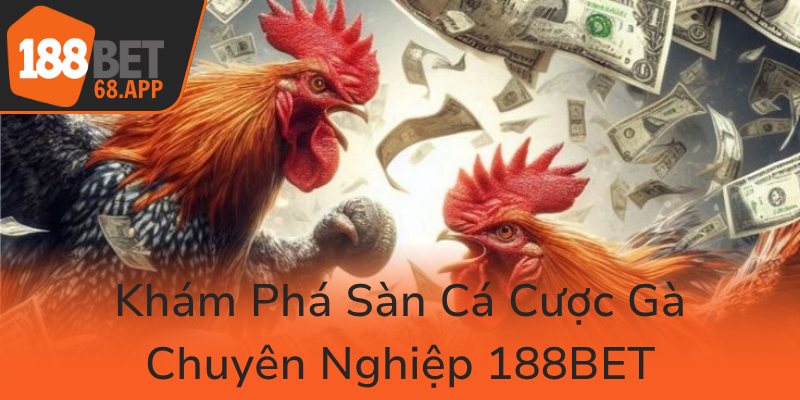 Kham Pha San Ca Cuoc Ga Chuyen Nghiep 188Bet0