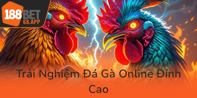 Trai Nghiem Da Ga Online Dinh Cao0